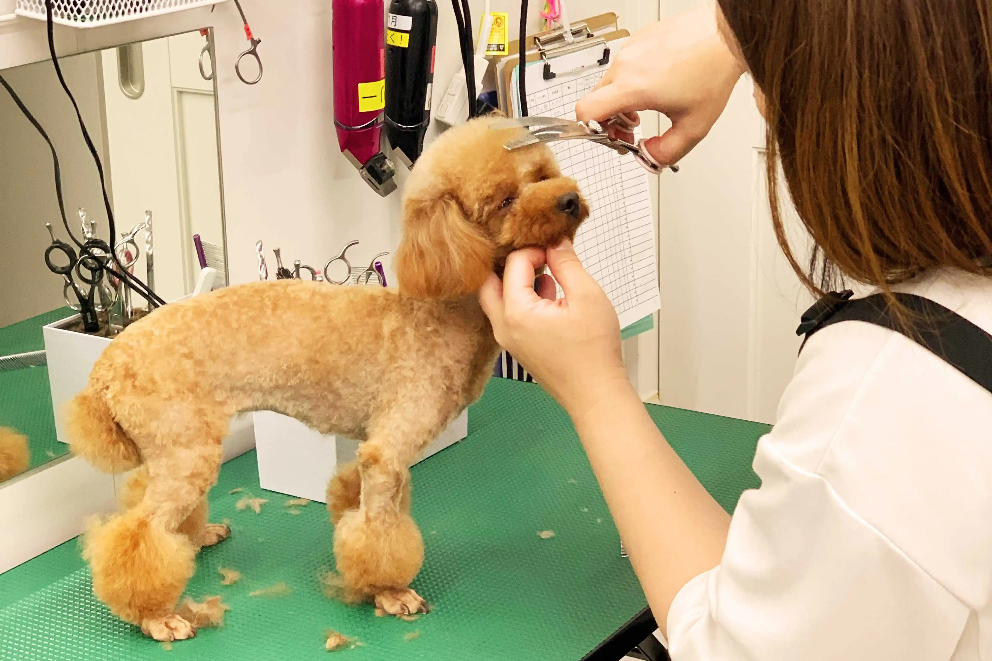 スライドショーの画像2枚目