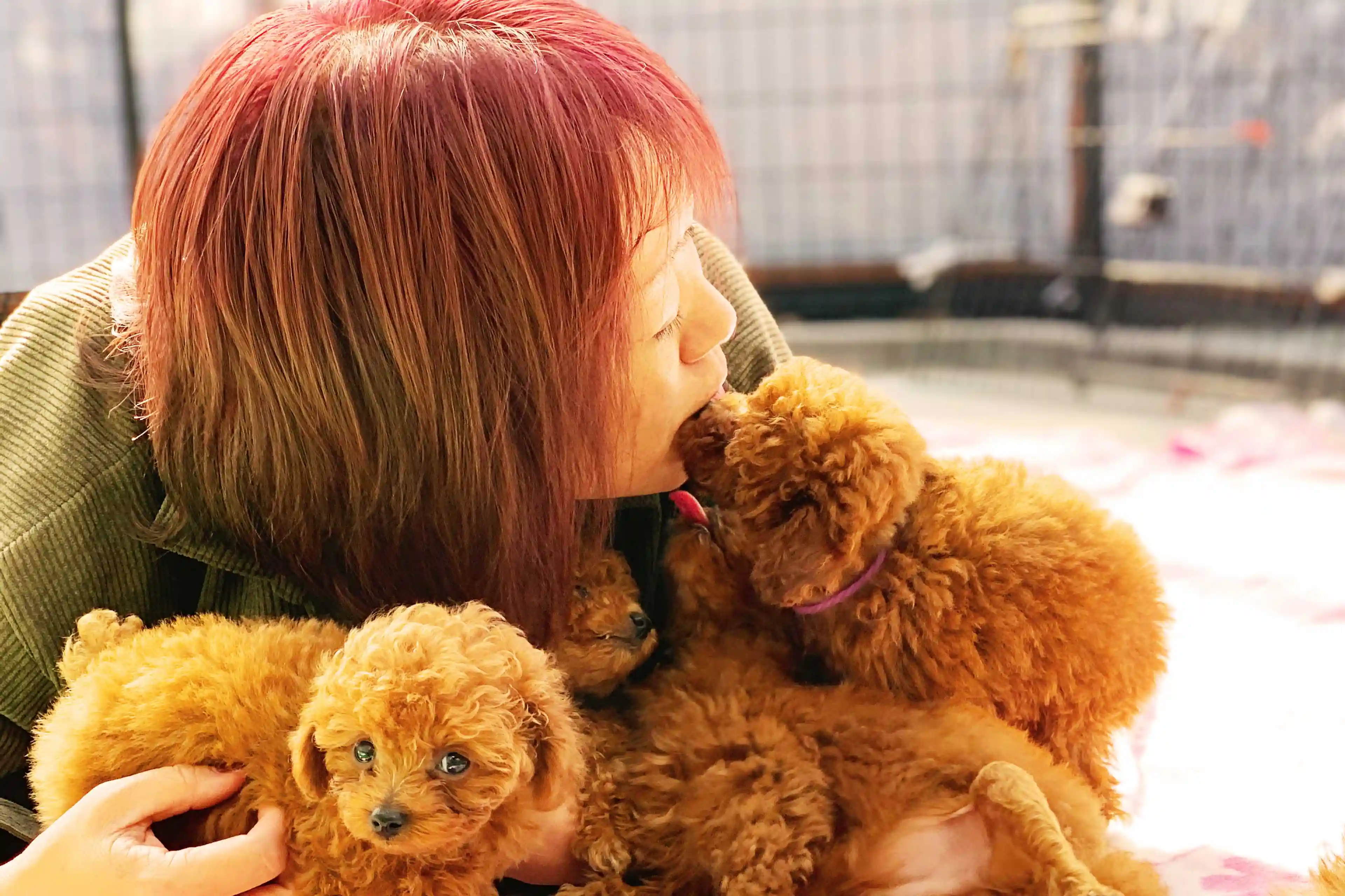 スライドショーの画像3枚目