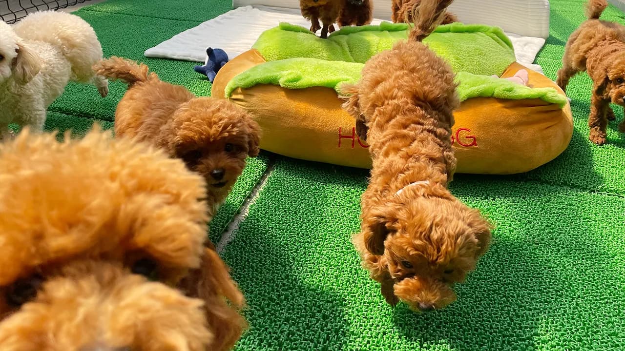 ストレスの無い環境