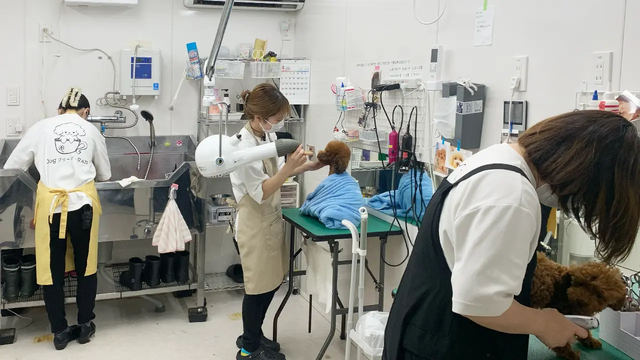 丁寧な運営体制