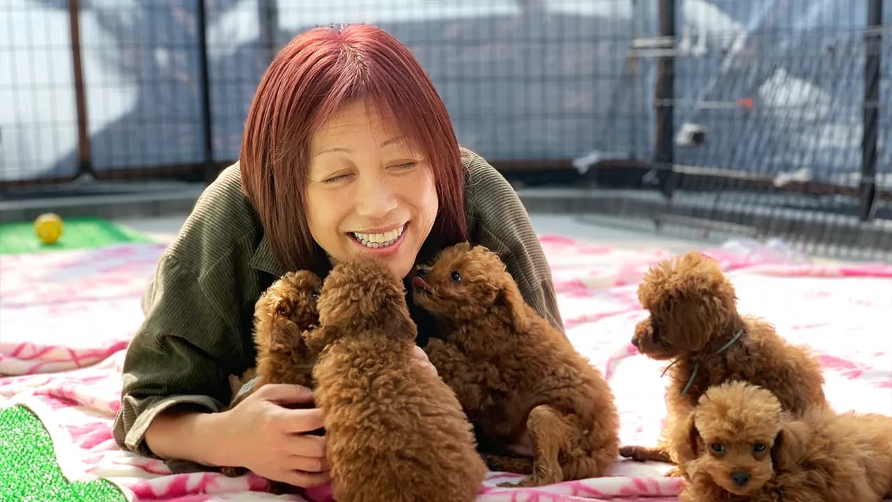 長年のブリーダー経験